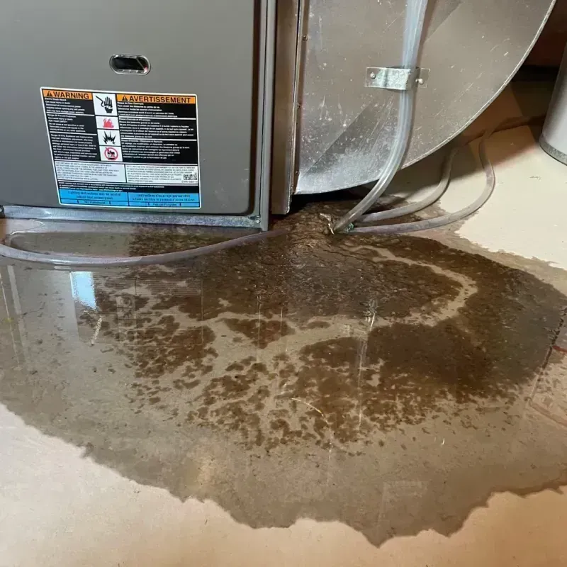 Appliance Leak Cleanup in Deerfield Beach, FL